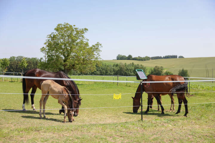 AKO Weidezaunseil PlatinumLine